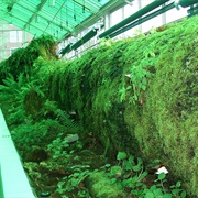 Neukom Vivarium