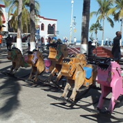 Rocking Horses, as Seen on the Amazing Race, Puerto Vallarta
