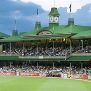 Watch a Cricket Match at the SCG