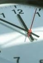 The Turtle and the Time Machine (2013)