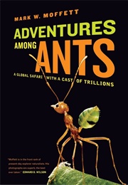 Adventures Among Ants (Moffett, Mark W.)