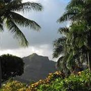 Mountain View, Hawaii