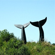 'Reverence' (Whales Tails)