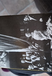 Bloed En Banketten (Bella Fromm)