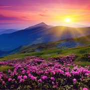 Valley of Flowers, India