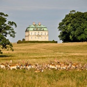 Eremitageslottet (Hermitage Hunting Lodge)