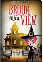 Broom With a View (Sara Bourgeois)