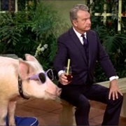 Green Acres: "A Star Named Arnold Is Born" (S3,E29-30)