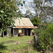 Davidson Whaling Station