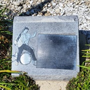 Elvis Karate Fight Plaque