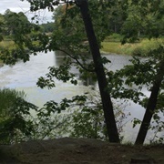 Milne Nature Sanctuary