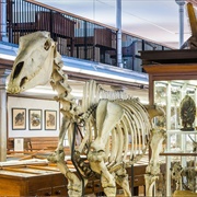 Wagner Free Institute