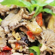 Split Gill Fungus (Schizophyllum Commune)