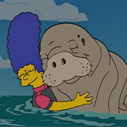 S17.E1: The Bonfire of the Manatees