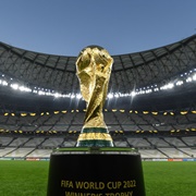 Attend the FIFA World Cup