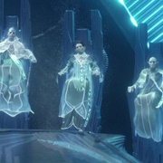 More Council Members