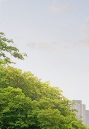 She-Hulk: Attorney at Law (2022)