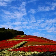 Furosan Park, Matsuura
