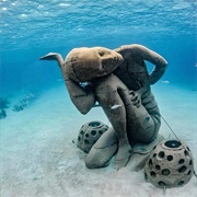 Ocean Atlas, Bahamas