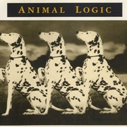 There's a Spy (In the House of Love) - Animal Logic