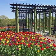 Tower Hill Botanic Garden, Boylston, MA