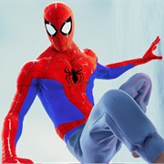 Sweatpants Suit (ITSV)