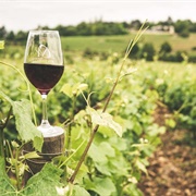 Wine Tours in Oliver BC