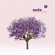 Eels - I Like the Way This Is Going
