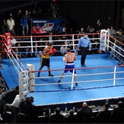 Boxing Ring