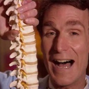 S2.E8: Bones and Muscles