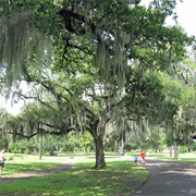 Audubon Park, New Orleans