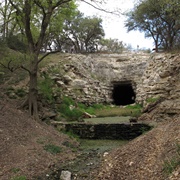 Old Tunnel Bat Colony