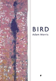 Bird (Adam Morris)