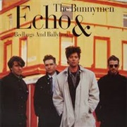 Bedbugs and Ballyhoo - Echo & the Bunnymen