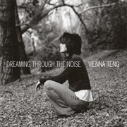 Dreaming Through the Noise (Vienna Teng)