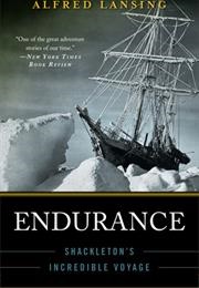 Endurance (Alfred Lansing)
