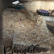 Blocking It's House With Bedding