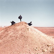 My Disco – Paradise