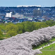 Kitakami, Iwate, Japan