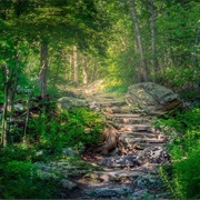 Appalachian Scenic Trail, USA
