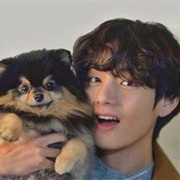 Tae Hyung 'V' (BTS)