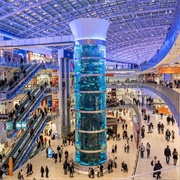 Avia Park Aquarium, Russia