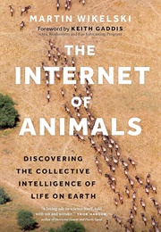 The Internet of Animals (Martin Wikelski)