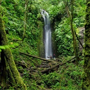 La Amistad National Park