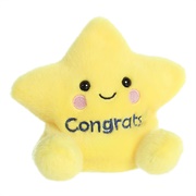 Galileo Congrats Star