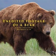 Unedited Footage of a Bear (2014)