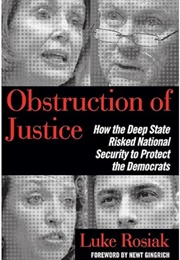 Obstruction of Justice (Luke Rosiak)