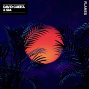 Flames - David Guetta & Sia
