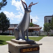 Former World's Largest Jackalope