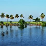 Kuttanad River Delta Landscape, Kerala, India